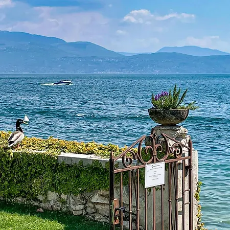Luxury Lakeside Right On The Water Apartment